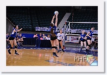 Set 1 * (164 Slides)